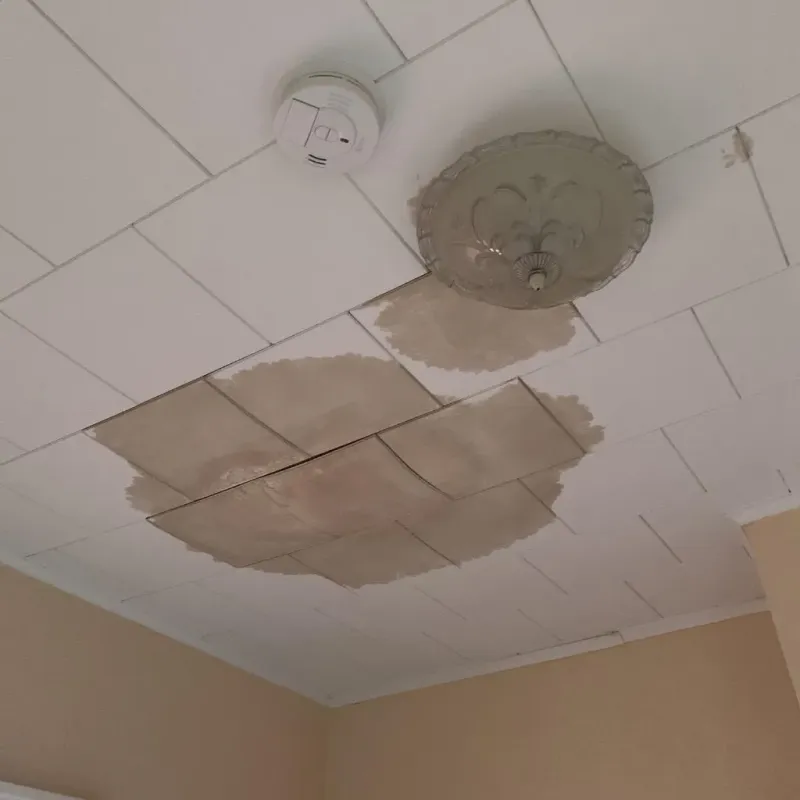 Ceiling Water Damage Repair in Camden, DE