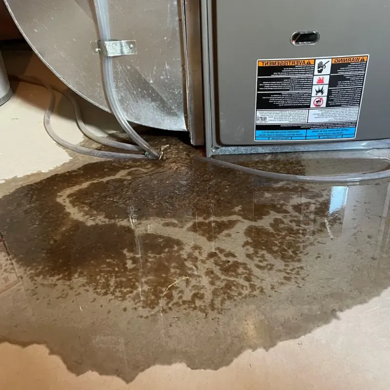 Pipe Burst and Leak Restoration in Camden, DE