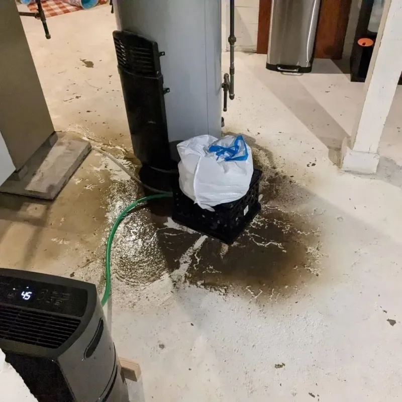Sewage Backup Cleanup Service in Camden, DE